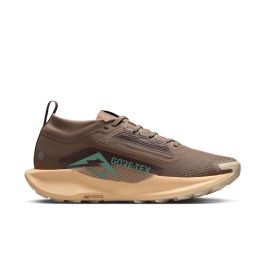 Pegasus Trail 5 GTX