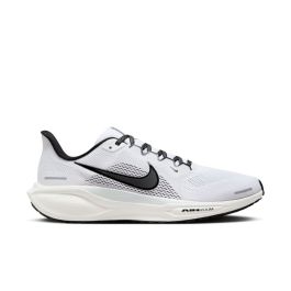 Pegasus 41