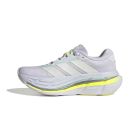 Adistar Byd 2 2