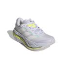 Adistar Byd 2 3