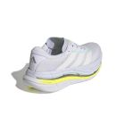 Adistar Byd 2 4