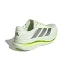Adistar Byd 2 4