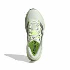 Adistar Byd 2 5