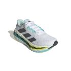 Adistar Byd 3