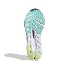 Adistar Byd 6