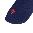 Labrum Socks 4