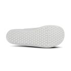 Scio 3