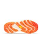 ProMorph 6