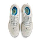 Pegasus Premium 4