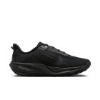 ACG Pegasus Trail 1