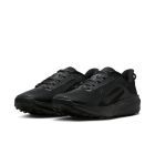 ACG Pegasus Trail 3