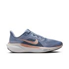 Pegasus 41 1