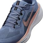 Pegasus 41 3