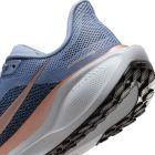 Pegasus 41 4