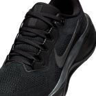 Pegasus 41 3