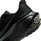 Pegasus 41 4