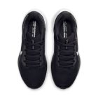 Pegasus 41 5