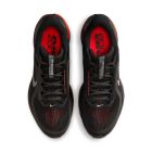 Pegasus Premium 4
