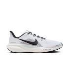 Pegasus 41 1