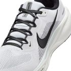 Pegasus 41 3