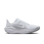 Pegasus 41 1