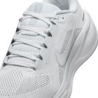 Pegasus 41 3