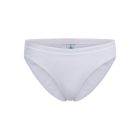 Active Light Brief 1