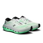 Cloudrunner 3 Max 3