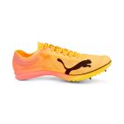 Evospeed Distance Nitro Elite+ 2 1