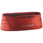 Pulse Belt 1