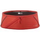 Pulse Belt 2