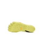 Spidrwalk 5