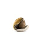 Motus Flex Natural 6