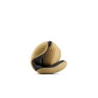 Motus Flex Natural 6