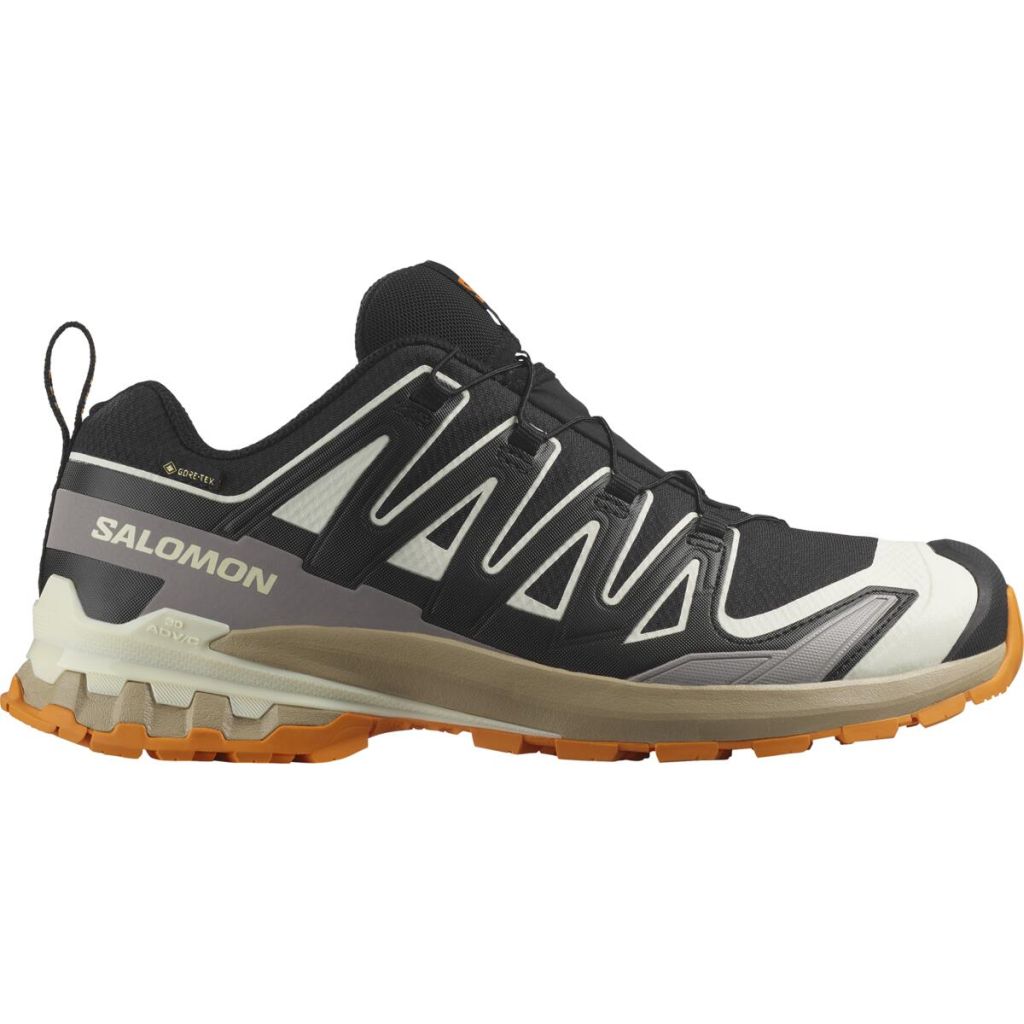 SALOMON XA PRO 3D V9 GORE-TEX - Shop4Runners